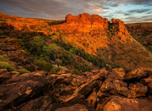 Whiskey Verenigde Staten