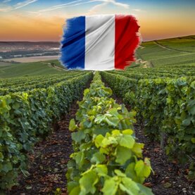 Wijn Frankrijk