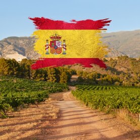 Wijn Spanje