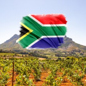 Wijn Zuid-Afrika