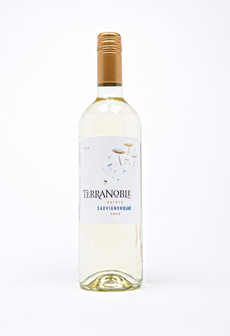 Terranoble Estate Sauvignon Blanc 75CL